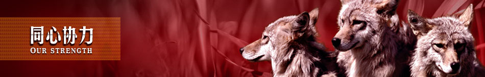 同心協(xié)力  【鋁單板/金屬天花服務(wù)運(yùn)營中心】